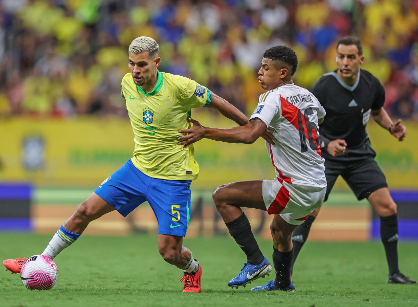 选择培养潜 选择培养潜