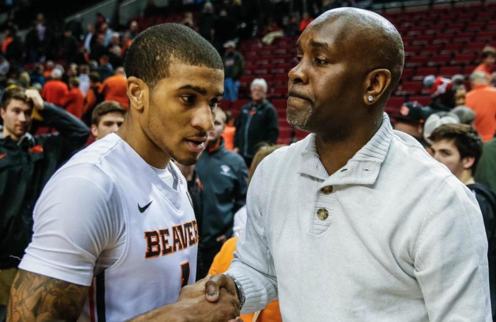 并从中汲取 并从中汲取