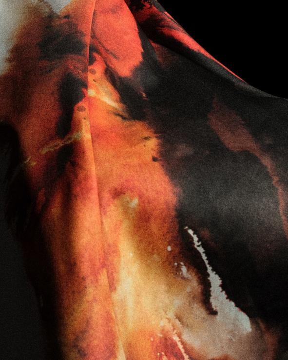 就是大衛 就是大衛