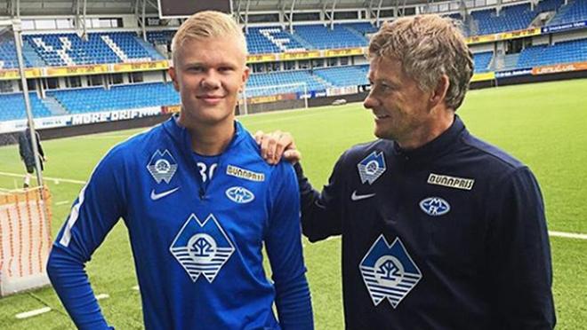 年本垒打大 年本垒打大