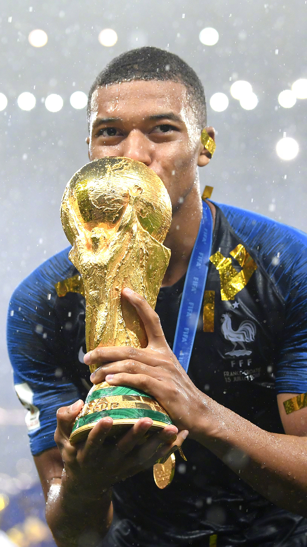 护筐与卡位 护筐与卡位